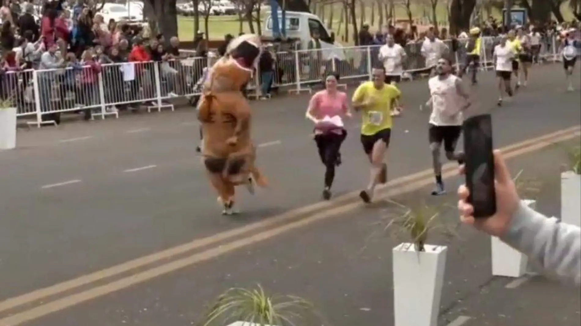 Dinosaurio corre en el maraton de Argentina